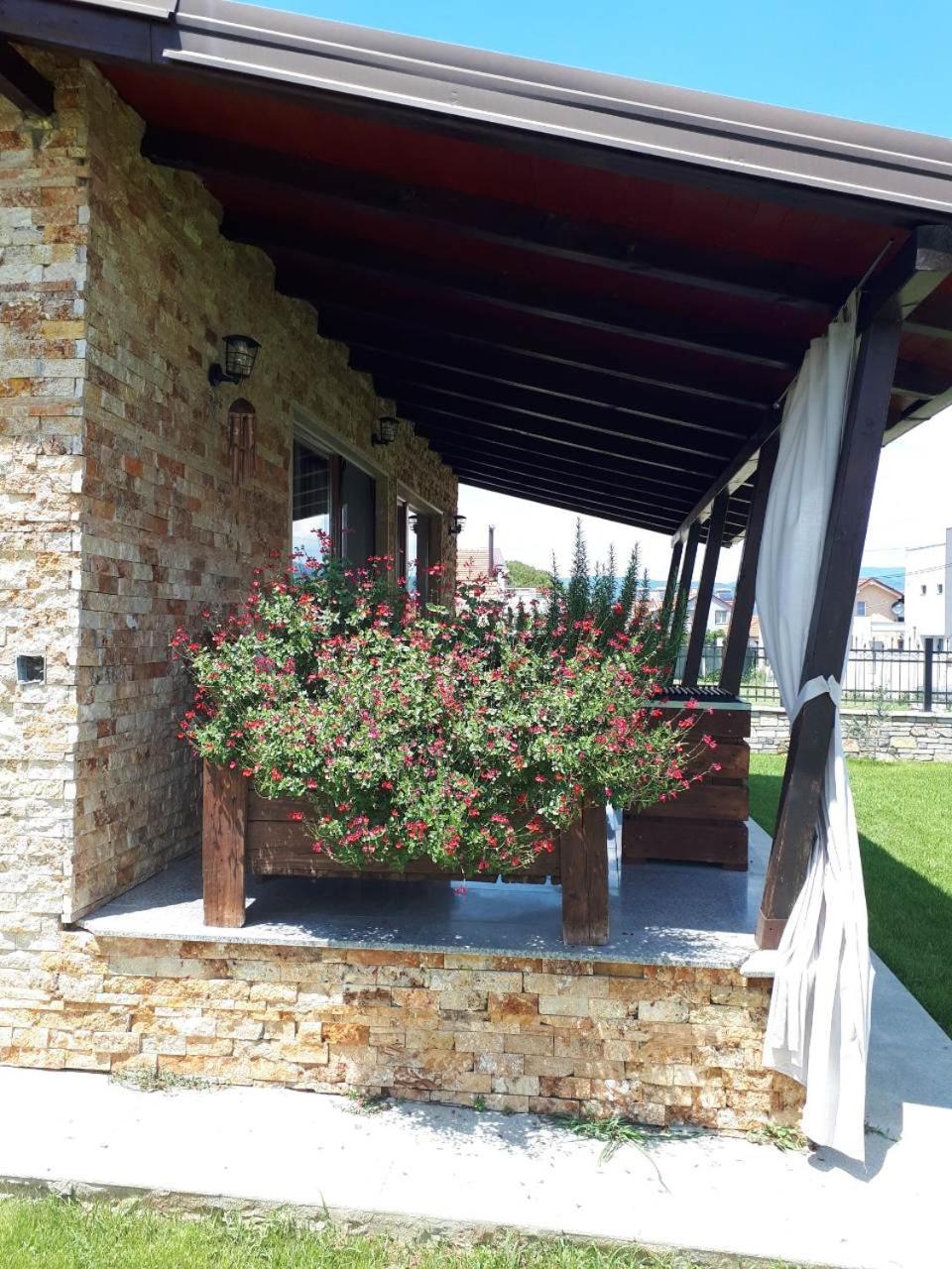 Apartments And Villas Janev Dojran Extérieur photo