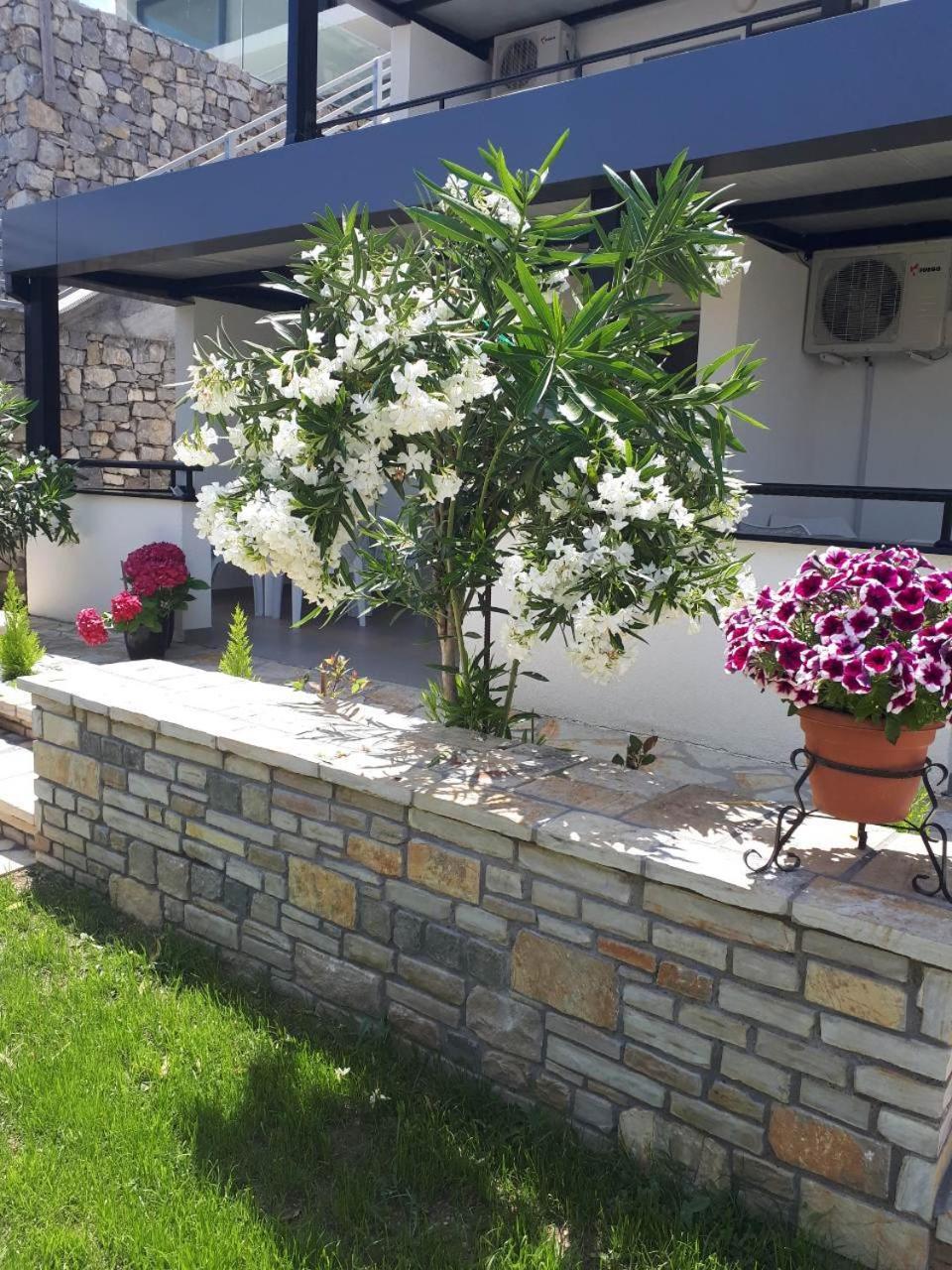 Apartments And Villas Janev Dojran Extérieur photo